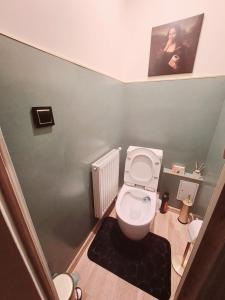 ein kleines Badezimmer mit weißer Toilette in einem Zimmer in der Unterkunft Domi studio in Chełmno