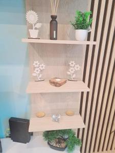 ein Holzregal mit Blumen und Pflanzen darauf in der Unterkunft Domi studio in Chełmno