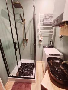 ein Badezimmer mit Dusche und Waschbecken in der Unterkunft Domi studio in Chełmno