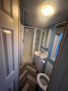 a small bathroom with a toilet and a sink at Millfields caravan park I9 in Skegness
