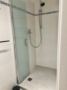 a shower with a glass door in a bathroom at Ammersee Garten Appartment in Herrsching am Ammersee +43 photos