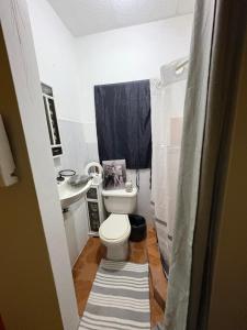 a small bathroom with a toilet and a sink at Riddim Vybz guesthouse in Kingston