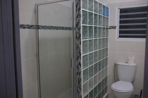 a bathroom with a toilet and a glass shower at Grapes of Grace in Baie Nettle +3 photos