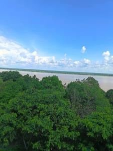 a view of a body of water with trees at Amazon Lodge Iquitos in Iquitos