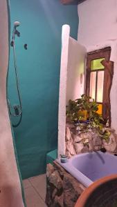 a bathroom with a shower with a bath tub at Biocasa in Villa Anizacate