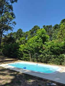 an empty swimming pool in a yard with trees at Lihuen in Mar Azul