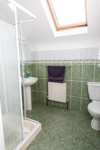 a bathroom with a toilet and a sink and a shower at Wild Atlantic Hideaway in Doolin +41 photos