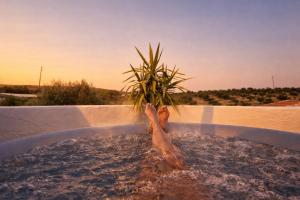 a person in a bathtub with a plant in it at Muralhas do frade in São Pedro do Corval