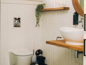 a bathroom with a toilet and a sink at 6 person holiday home in Grevinge-By Traum in Grevinge