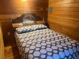 a bedroom with a bed in a wooden cabin at Cabin 1 The Glacier in Hot Springs