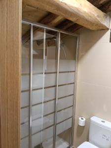 a shower in a bathroom with a toilet at ALOJAMIENTO MONTE EDILLA Naturaleza, Confort y Recarga Eléctrica in Quintana de los Prados