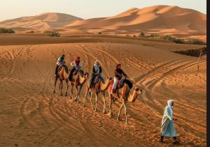 a group of people riding camels in the desert at Sunny Luxury Camp in Merzouga