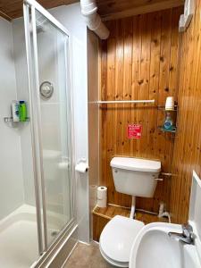 a bathroom with a white toilet and a shower at Edinburgh full bliss in Edinburgh +43 photos
