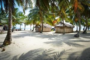 a beach with palm trees and huts on the beach at CABAÑA ARRIYALADUP San-Blas in Arritupo Número Dos