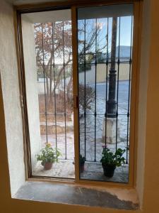 a window with two potted plants in front of it at Yellow House, Private Apartment, Centro Arteaga in Arteaga