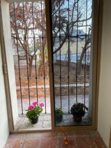 a door with potted plants on a patio at Yellow House, Private Apartment, Centro Arteaga in Arteaga +2 photos