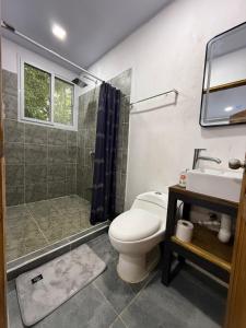 a bathroom with a toilet and a shower and a sink at Villa Carpintera in Puntarenas +11 photos