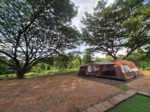 a tent in a field with trees in the background at ใจฟูฟู พูลวิลล่า in Ban Khok Kratai (1)