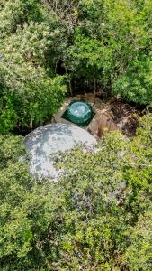 an aerial view of a green pond in the woods at Jungle Glamping K'u' Kuk in Chemuyil