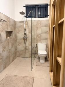 a bathroom with a shower and a toilet at Equinox Studio in La Gaulette