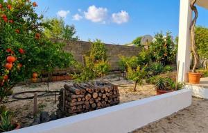 a pile of logs in a garden with trees and oranges at Pirshagi Villa in Baku