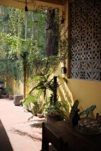 a patio with plants and a table and a wall at a Hue Homestay in Hue