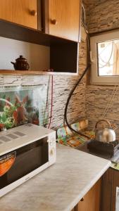 a microwave sitting on a counter in a kitchen at Дарина in Chornomorsk
