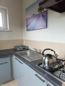 a tea kettle sitting on top of a stove in a kitchen at Sielski Domek pod Karpaczem in Miłków