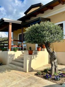 a house with a staircase and a tree in front of it at Appartamento Costa degli Dei in Tropea +8 photos