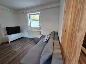 a living room with a couch and a television at Holiday Home Mila in Spodnja Idrija