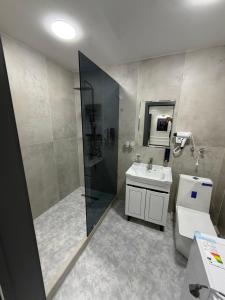 a bathroom with a shower and a sink and a toilet at Guest house Пары Резиденты только с ЗАГСом in Samarkand