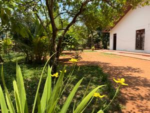 a garden with yellow flowers in front of a building at Beliya Rock View in Dambulla