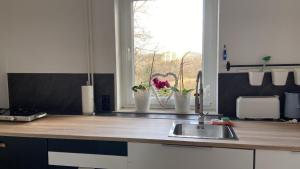 a kitchen counter with a sink and a window at Zollhaus 26 in Hohegeiß