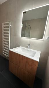 a bathroom with a white sink and a mirror at Ani's Pearl in Bled +15 photos