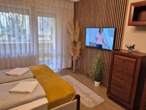 a bedroom with a bed and a flat screen tv at Jókai Apartman Szarvas in Szarvas