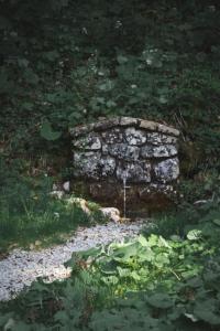 a stone wall in the middle of a field at Leislinghütte in Bad Goisern