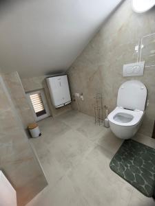 a small bathroom with a toilet and a shower at LUXURY Rooms Punat in Punat