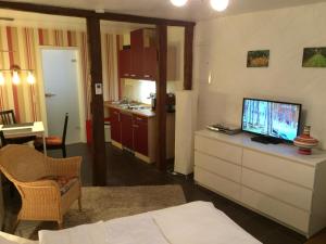 TV a/nebo společenská místnost v ubytování Apartments Stadtmauer