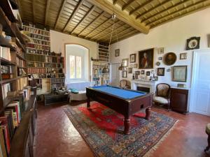 a room with a pool table in the middle of a library at Chambre des rêves, vue exceptionnelle sur terrasse privée,la Casamatta in Centuri