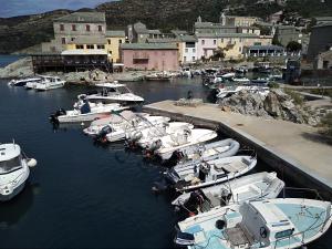 a bunch of boats are docked in a harbor at Chambre des rêves, vue exceptionnelle sur terrasse privée,la Casamatta in Centuri