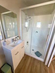 a bathroom with a shower and a sink at Benrose Stables Cottage in Palmerston North
