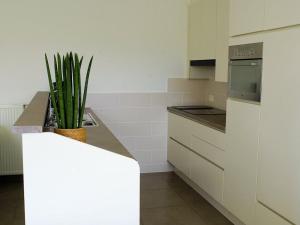a kitchen with white cabinets and a plant on a counter at Hof ter Eversam in Alveringem +7 photos