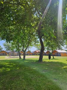 a group of trees in a field with buildings in the background at By The Way - domki nad morzem in Paprotno
