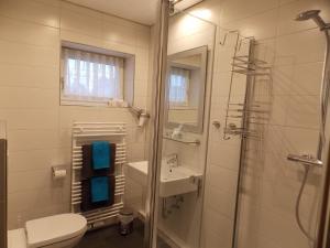 a bathroom with a shower and a toilet and a sink at Gästehaus Tannenhof in Clausthal-Zellerfeld