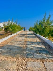 an empty road with trees on the side of a beach at Maan Resort in Mogadishu