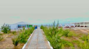 a walkway in a field with plants and a building at Maan Resort in Mogadishu