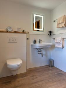 a bathroom with a toilet and a sink at Ferienhaus Eifelperle in Blankenheim +24 photos