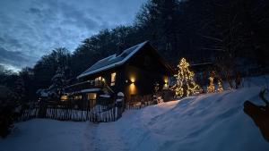 a house with a christmas tree in the snow at Chalet Hüttenzauber in Zella-Mehlis +25 photos