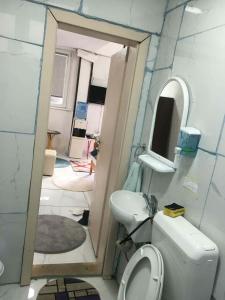 a bathroom with a toilet and a sink and a mirror at Hostel Struga in Struga +220 photos