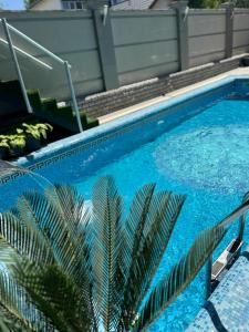 ein blauer Swimmingpool mit einer Pflanze daneben in der Unterkunft Diamond Hotel in Chişinău